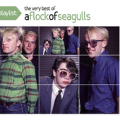 Playlist The Very Best of A Flock of Seagulls.png