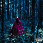 FOREST HYMNZ