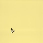 I Don't Mind the Wait - Single