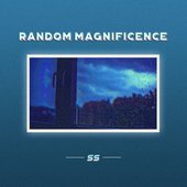 Random Magnificence