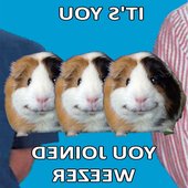 "ppppyynr1n" -pyr1n