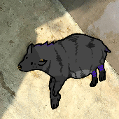 Avatar for Hojake