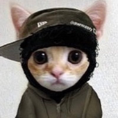 Avatar for Zenkty