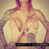 Property of White Pigeon