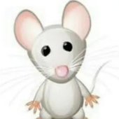 Avatar for RaynelikeRain