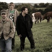 lol, cows