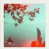 The Edge of the Sea