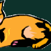 Avatar for sAdBoy84