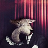 Head + Heart