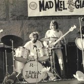 Taman Shud