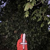 Cloak of Kings.jpg