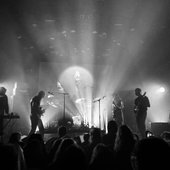 IMG_4703.jpeg