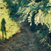 LastFM profile picture for @metaphors