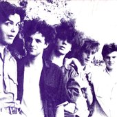 the mushrooms