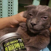 Pretty_thai 的头像