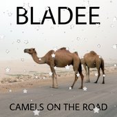 Camels on the Road