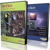 DVD box of 10 CD set