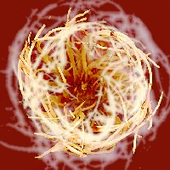 Avatar für thornfields