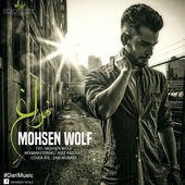 Mohsen Wolf Image