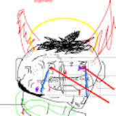 redacted27 的头像