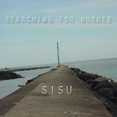 Sisu