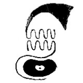 nobodywillcome 的头像