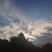 Sorrowful Summer