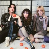 The Velveteers