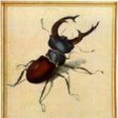 gazgnu さんのアバター