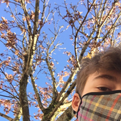Avatar for alexuwu