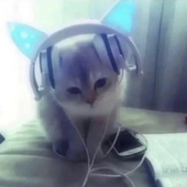 kayboom_ 的头像