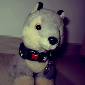Avatar for Caninequine