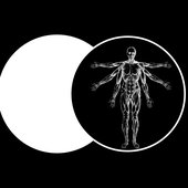 Occasionally Humans Logo 2025