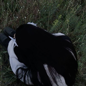 Avatar for diedgrieving