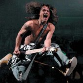 Van Halen 2004