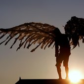 a-very-old-man-with-enormous-wings-steve-tanner.jpg