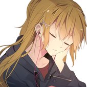 AllFormer