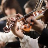 What-instruments-Are-In-The-Orchestral-String-Family-Blog.jpg