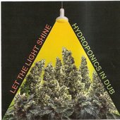 Let the Light Shine: Hydroponics in Dub