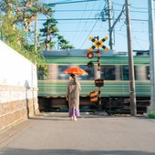 Day Trip - Single