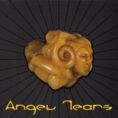 Angel Tears, Volume 1