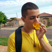 FloresJuba için avatar