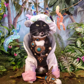 meow2223 的头像