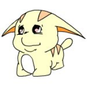 rengrott 的头像