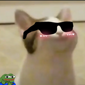 Drillerffox 的头像