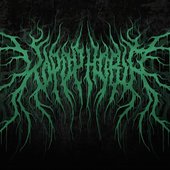 KopophobiA