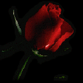 Awatar dla Gothic_Gremlin