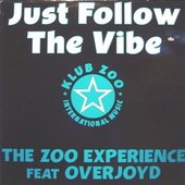 Just Follow The Vibe