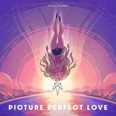 Picture Perfect Love - Single