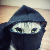 Avatar for gropeable